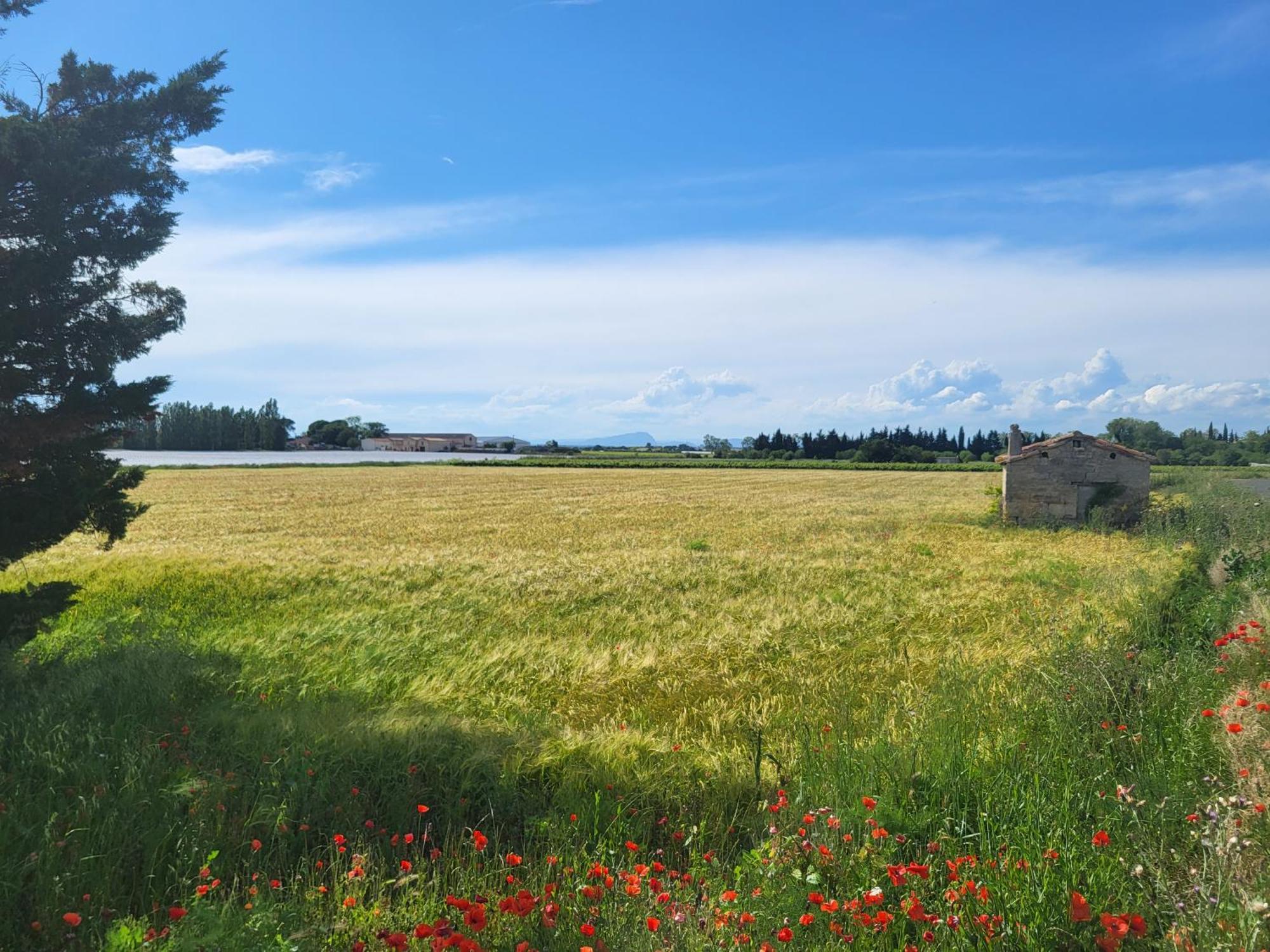 Villa L'Eden De Camargue- Spa Et Nature Candillargues Экстерьер фото